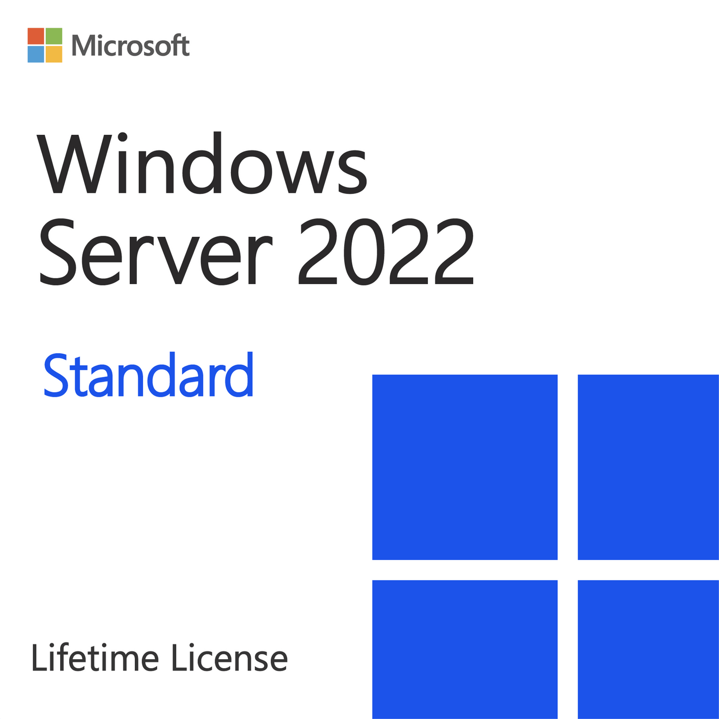 Microsoft Windows Server 2022 Standard – Lifetime License Key Digital 1 User